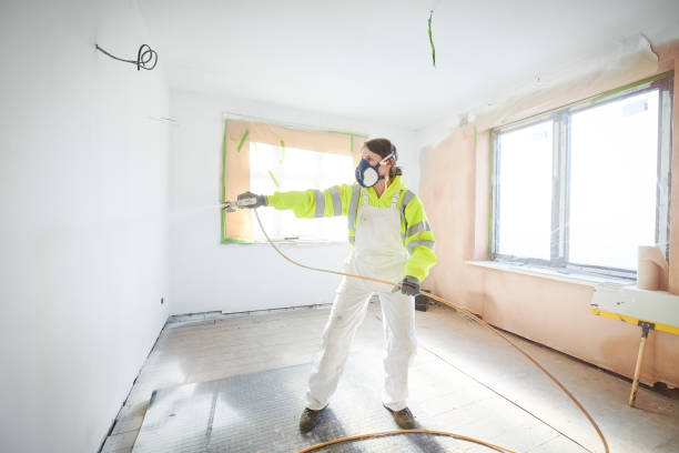 Reliable Bent Creek, NC Mold Removal Solutions