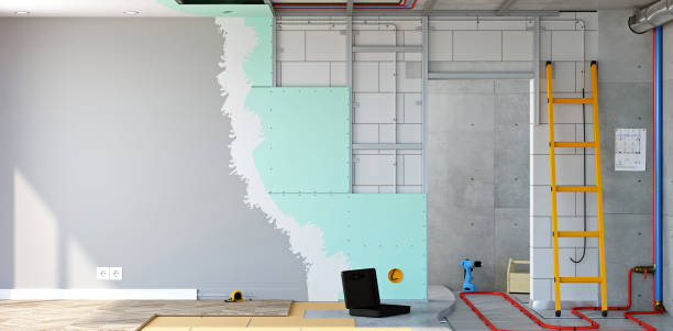 Best Post-Construction Mold Inspection  in Bent Creek, NC